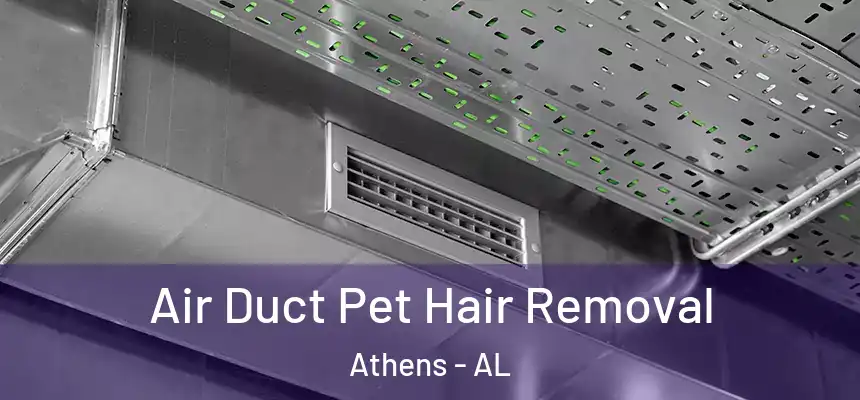 Air Duct Pet Hair Removal Athens - AL