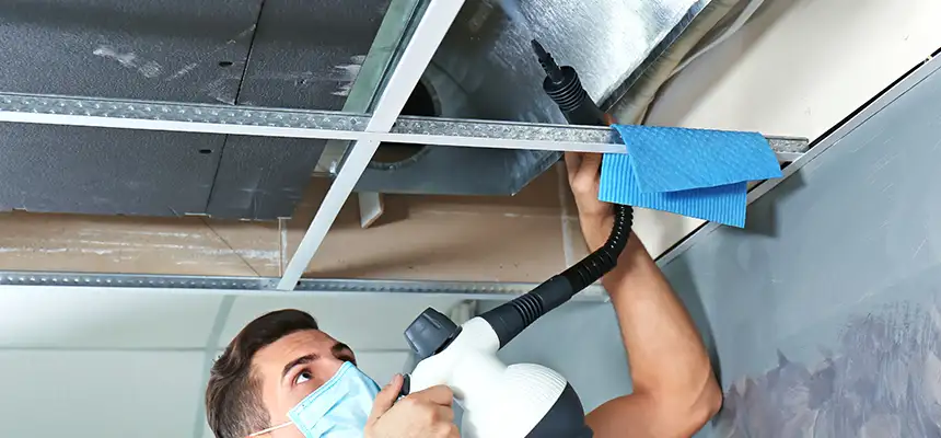 Our Air Duct Rodent Removal Services in Athens, AL