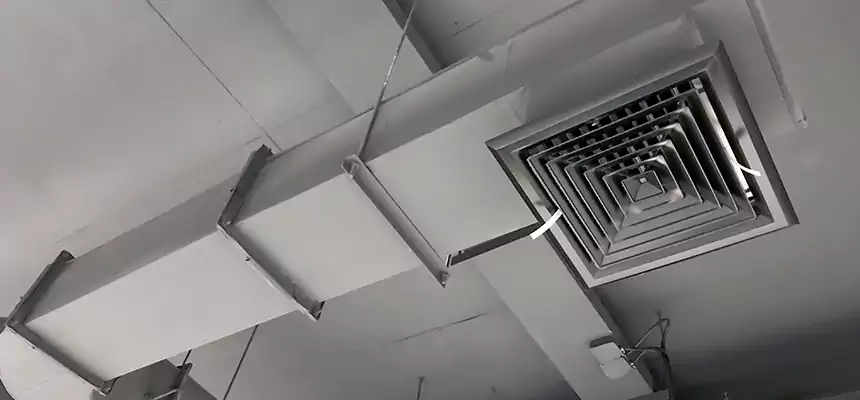 Our Pest Removal From Ducts Services in Athens, AL