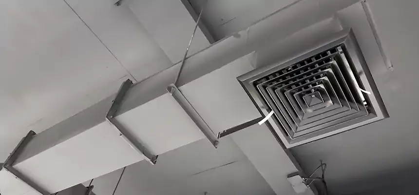 Our Rodent Droppings In Vents Services in Athens, AL