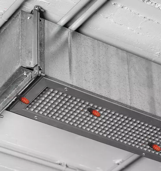 About Air Duct Cockroach Removal in Athens, AL