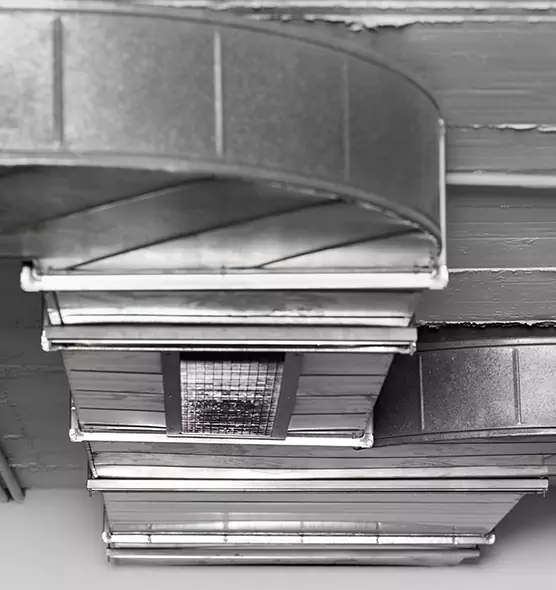 Professional Air Duct Pet Hair Removal in Athens, AL