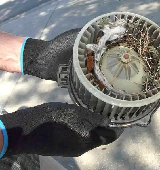 About Air Duct Rat Removal in Athens, AL