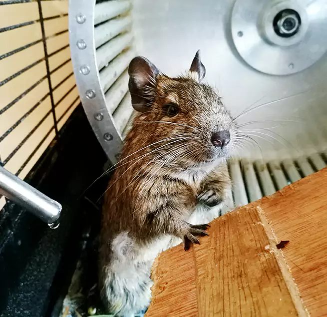 Why Homeowners & Businesses Trust Us Athens, AL?