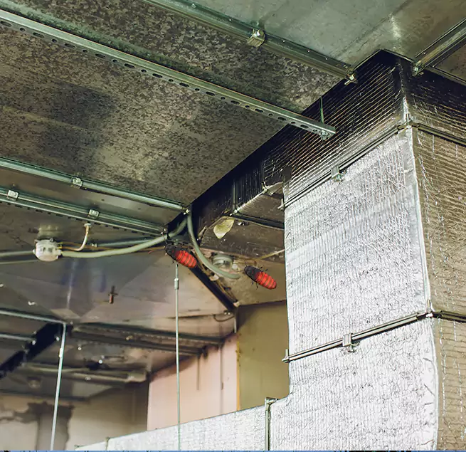 Why Homeowners & Businesses Trust Us Athens, AL?